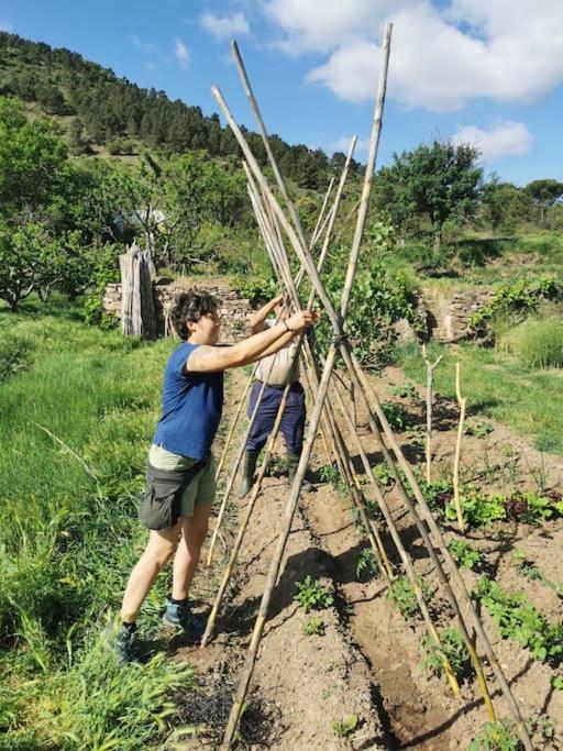 הוילה Montalbán Casa Roya מראה חיצוני תמונה